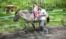 Hipoterapia w SU w Krasnobrodzie