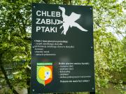 Tablice edukacyjne nad Rabczańskimi Bulwarami